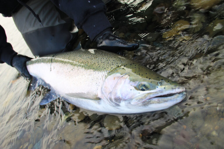 Going with the “Flow”