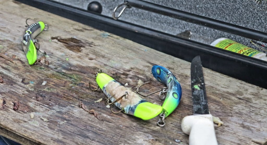 Wrapped Plugs are a top producer for tributary Springer's -Jason Brooks