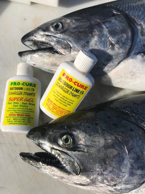 Seven Ways To Get Your Salmon Season Off to a Swift Start!