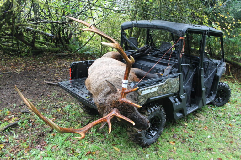 Big Game Hunting; Big ATV Time!