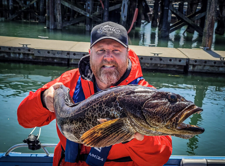 Lingcod!